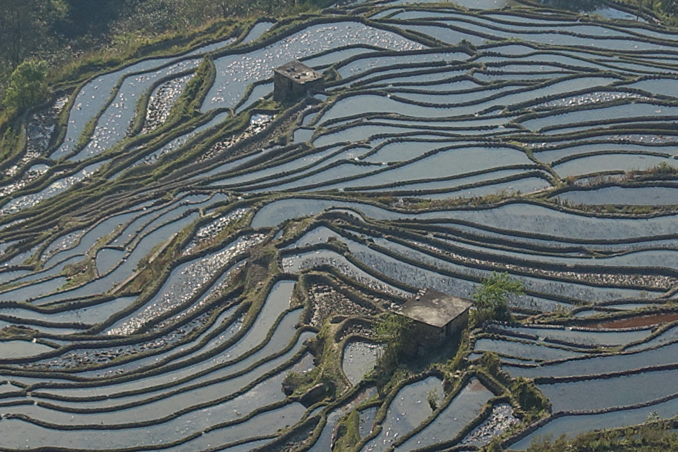 雲南元陽-壩達